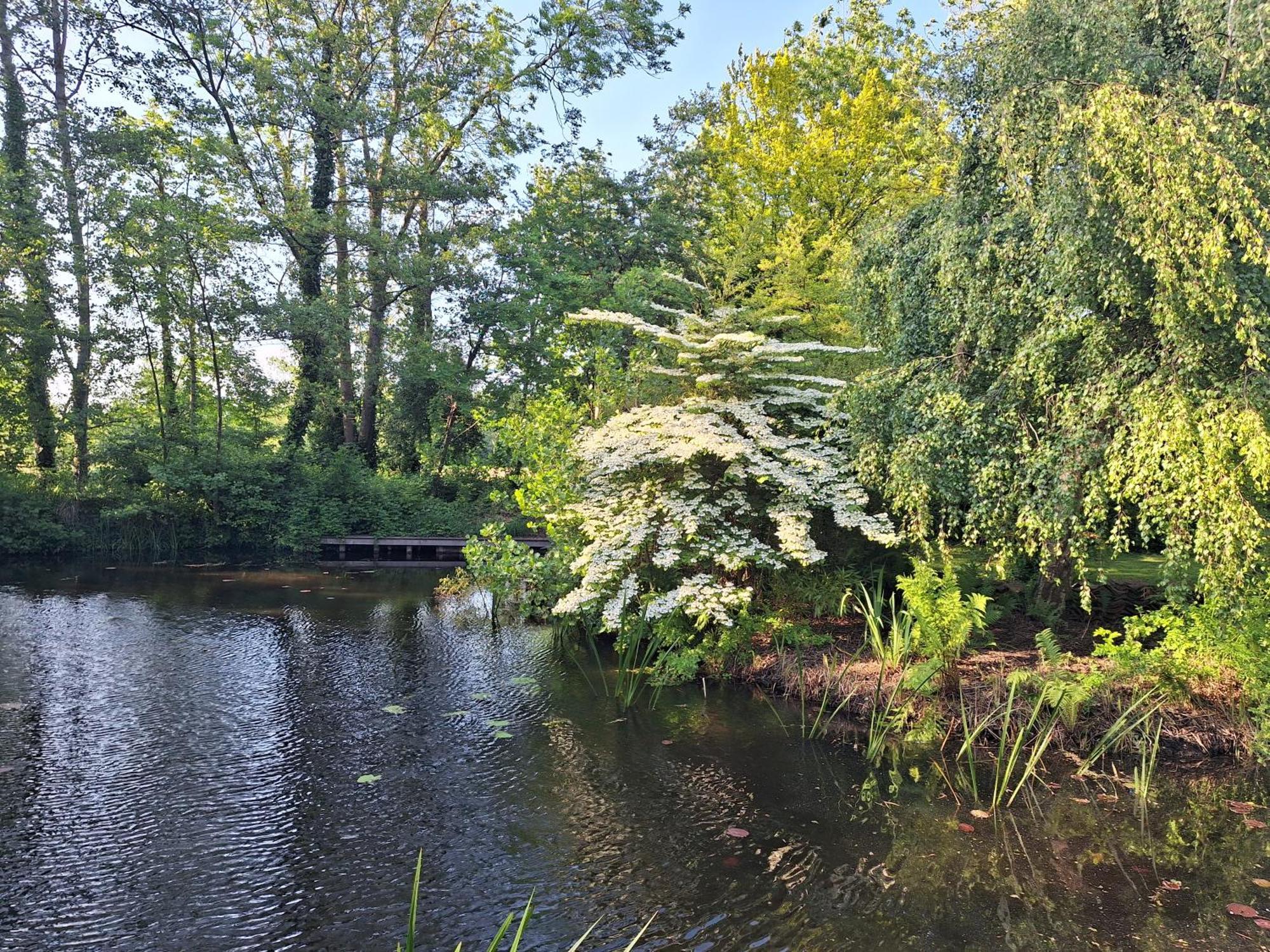 Villa De Consistorie Giethoorn Exterior foto